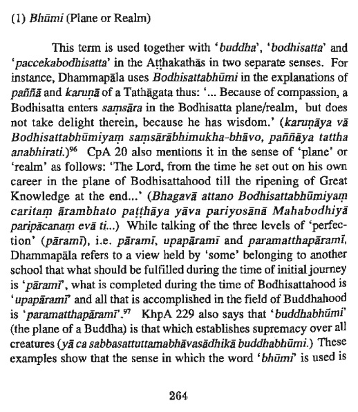Buddha in theravada1.jpg