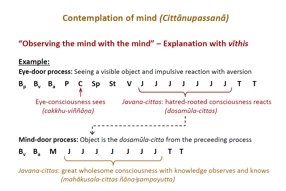 cittaanupassana_abh.png
