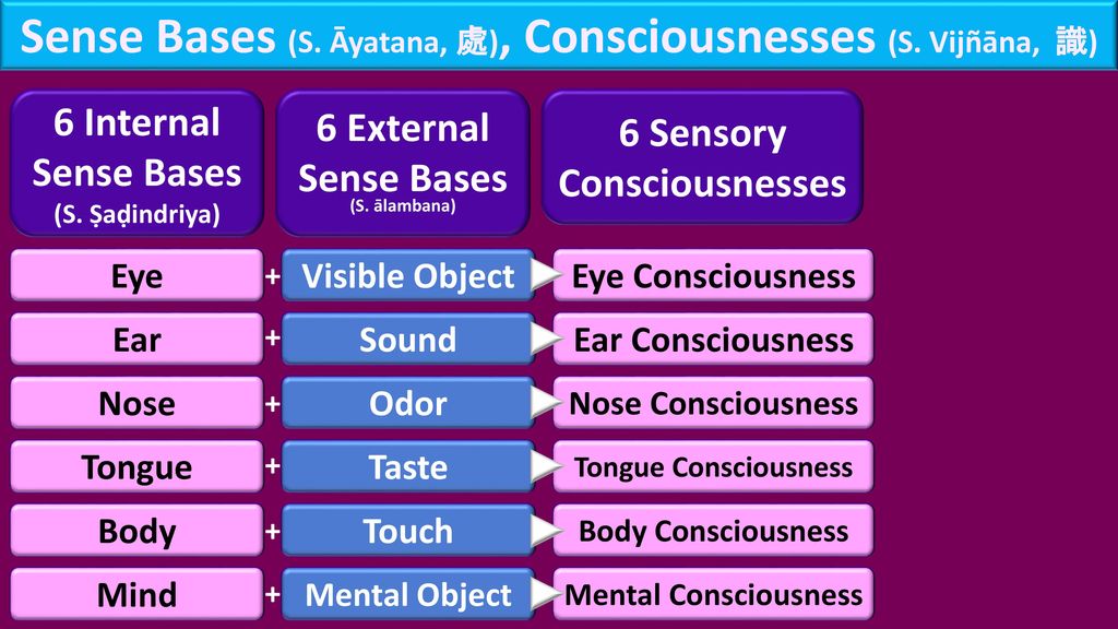 Sense+Bases+(S.+Āyatana,+處),+Consciousnesses+(S.+Vijñāna,+識).jpg